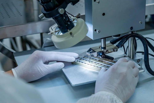 綠色為底 低碳為筆 仁和區(qū) 七大 示范引領(lǐng)工程推動(dòng)綠色轉(zhuǎn)型