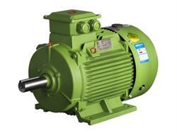 東莞電機丨高壓電機滾動軸承異常分析圖片|東莞電機丨高壓電機滾動軸承異常分析產品圖片由東莞電機廠公司生產提供-